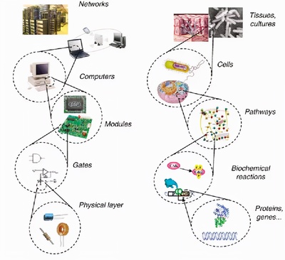 魔術師之手 計算機網絡工程如何以無形之力重塑世界